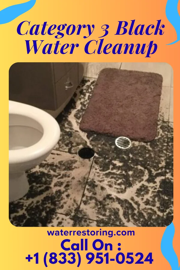 Category 3 Black Water Cleanup in Rio Communities, NM